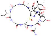 γ-Amanitin