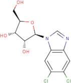 5,6-Dichlorobenzimidazole 1-Beta-D-ribofuranoside