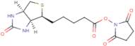 N-Hydroxysuccinimido biotin
