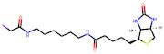 N-Iodoacetyl-N-biotinylhexylenediamine