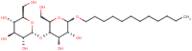 n-Dodecyl-beta-D-maltoside Ultrapure