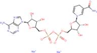 Nicotinamide adenine dinucleotide (reduced form) disodium salt nutraceutical grade