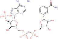 Nicotinamide adenine dinucleotide phosphate (oxidised form) monosodium salt hydrate