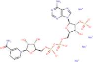 Nicotinamide adenine dinucleotide phosphate (reduced form) tetrasodium salt