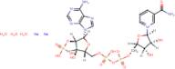Nicotinamide adenine dinucleotide phosphate, disodium salt