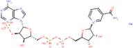 Nicotinamide adenine dinucleotide phosphate monosodium salt anhydrous