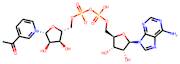 3-Acetylpyridine adenine dinucleotide, oxidised form