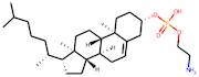 Cholesteryl phosphorylethanolamine