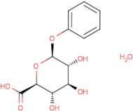 Phenyl-β-D-glucuronic acid monohydrate