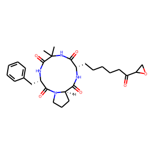 Chlamydocin