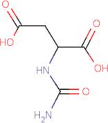 N-Carbamyl-DL-aspartic acid