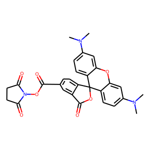 5(6)-Carboxytetramethylrhodamine N-hydroxysuccinimide ester