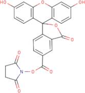 5(6)-Carboxyfluorescein N-hydroxy succinimide ester