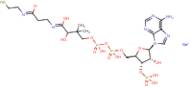 Coenzyme A sodium salt hydrate