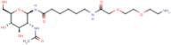 2-Acetamido-2-deoxy-N-(2-(2-aminoethoxy)ethoxy)acetylaminohexanoyl-?-D-glucopyranosylamine