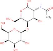2-Acetamido-2-deoxy-4-O-(?-D-galactopyranosyl)-D-galactopyranose