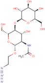 2-Azidoethyl 2-acetamido-2-deoxy-4-O-?-D-galactopyranosyl-?-D-glucopyranoside