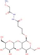 3-[2-[2-(Aminooxy)acetyl]hydrazinocarbonyl]propyl 2?-mannobioside
