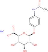 Acetaminophen-O-β-D-glucuronide, sodium salt