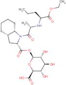 Perindopril-acyl-β-D-glucuronide