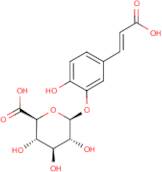 Caffeic acid 3-O-β-D-glucuronide