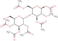 2,3,6,2',3',4',6'-Hepta-O-acetyl-D-maltose