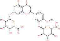 Diosmetin 7,3'-di-O-β-D-glucuronide