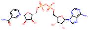 13C5-NAD+ ammonium salt