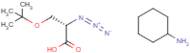 L-azidoserine tert-butyl ether CHA salt
