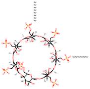 β-cyclodextrin phosphate sodium salt (DS~2-6)