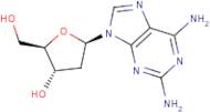 2,6-Diaminopurine-2'-deoxyriboside