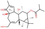 12-Deoxyphorbol 13-Isobutyrate