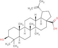 Betulinic acid with hplc