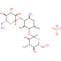 Kanamycin Solution (100mg/ml)