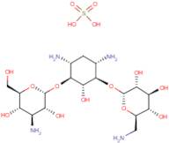 Kanamycin sulphate (1:1)