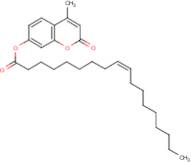 4-Methylumbelliferyl oleate