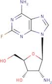 2'-Amino-2'-deoxy-2-fluoroadenosine