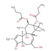 4-α-Phorbol 12,13-dibutyrate