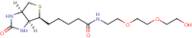 Biotin-PEG3-alcohol