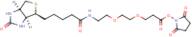 Biotin-PEG2-NHS ester