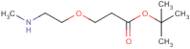 Methylamino-PEG1-t-butyl ester