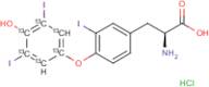 Reverse Triiodothyronine-[diiodophenyl-ring-13C6] hydrochloride (Reverse T3)