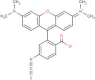 5(6)-Tetramethylrhodamine isothiocyanate