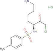 N-α-Tosyl-L-lysine chloromethyl ketone hydrochloride