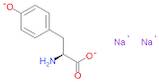 L-Tyrosine, disodium salt