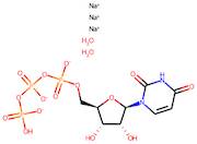 Uridine-5'-triphosphate trisodium salt dihydrate