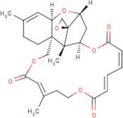 Verrucarin J