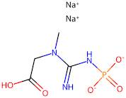 Phosphocreatine disodium