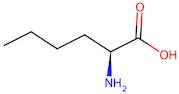 L-Norleucine