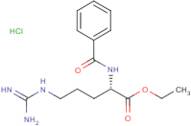 N2-Benzoyl-L-arginine ethyl ester hydrochloride